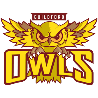 Owls