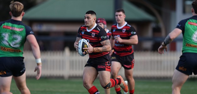 Bears put on a show in dominant North Sydney homecoming