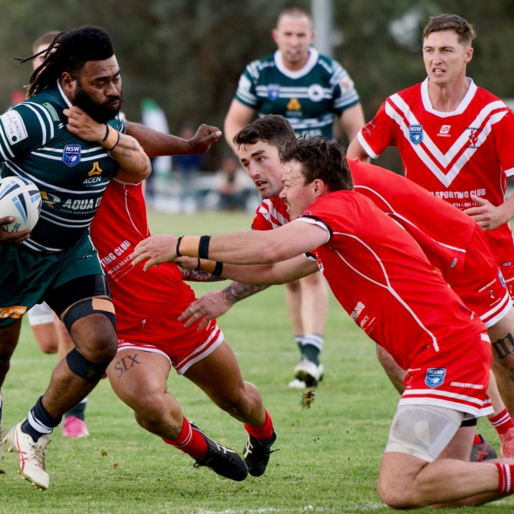 Castlereagh League preview | Can Roosters keep crowing
