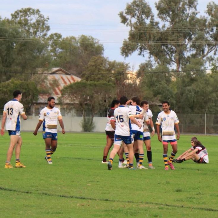 Castlereagh League wrap | Unicorns flying high