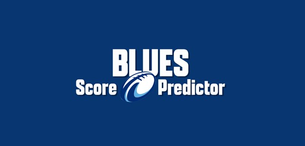 Blues Score Predictor T&Cs