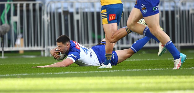 Dogs run riot in King's Birthday clash