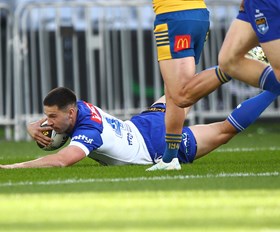Dogs run riot in King's Birthday clash