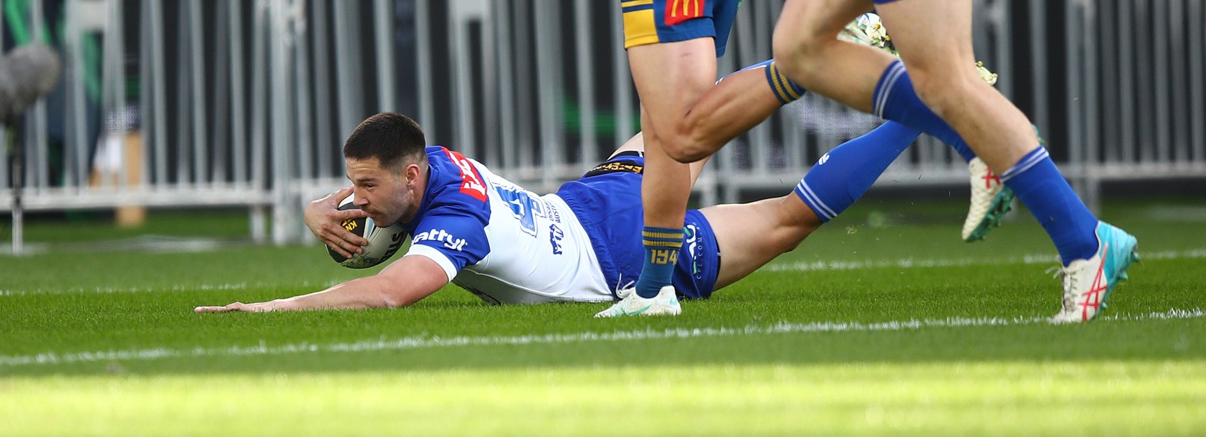 Dogs run riot in King's Birthday clash