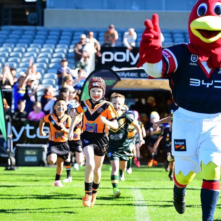 TackleReady graduates shine across NSW
