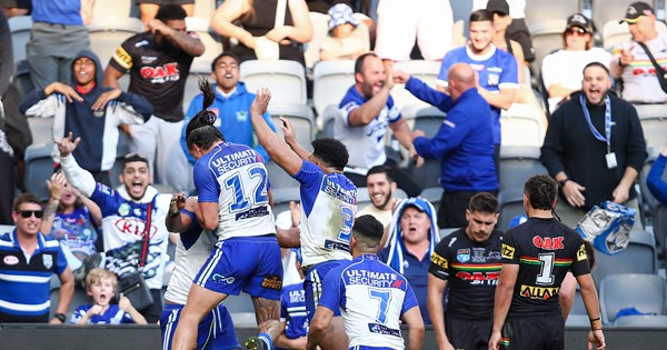 NSW Cup 2022 Season Review | Bulldogs