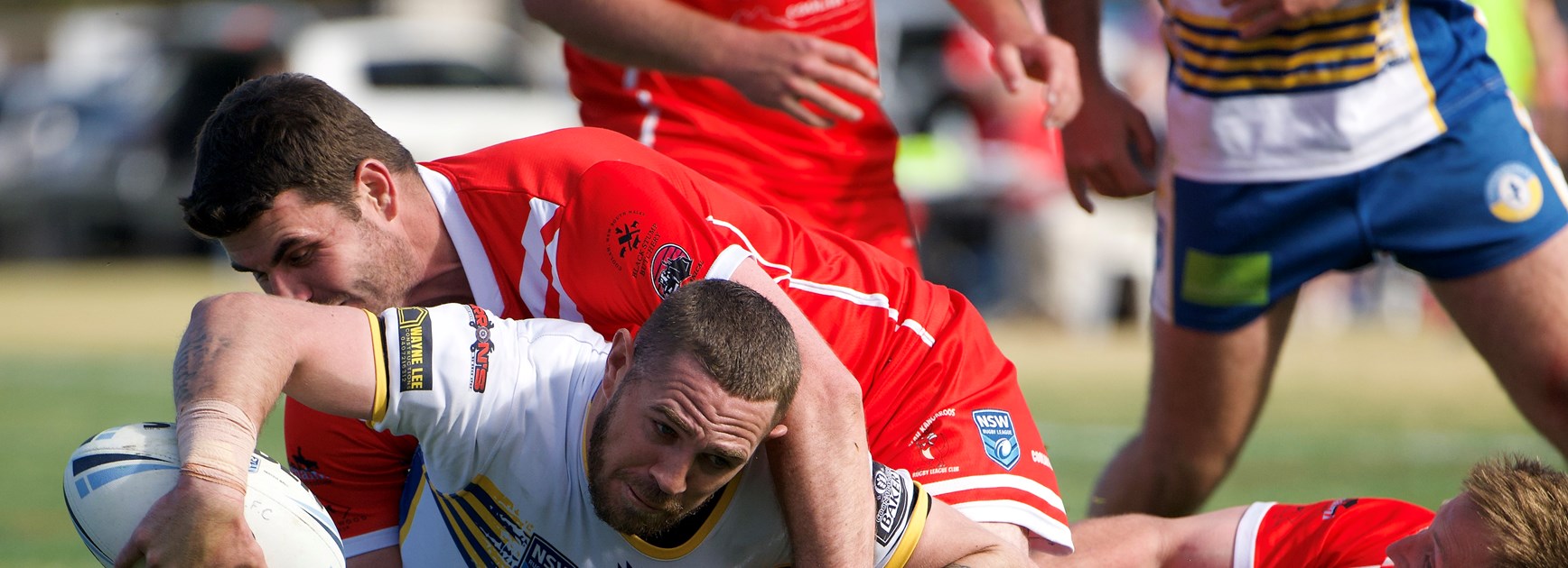 Castlereagh League wrap | Unicorns and Swans win