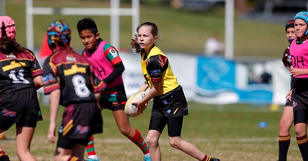 NSWRL hits 100,000 milestone as another bumper season looms NSWRL