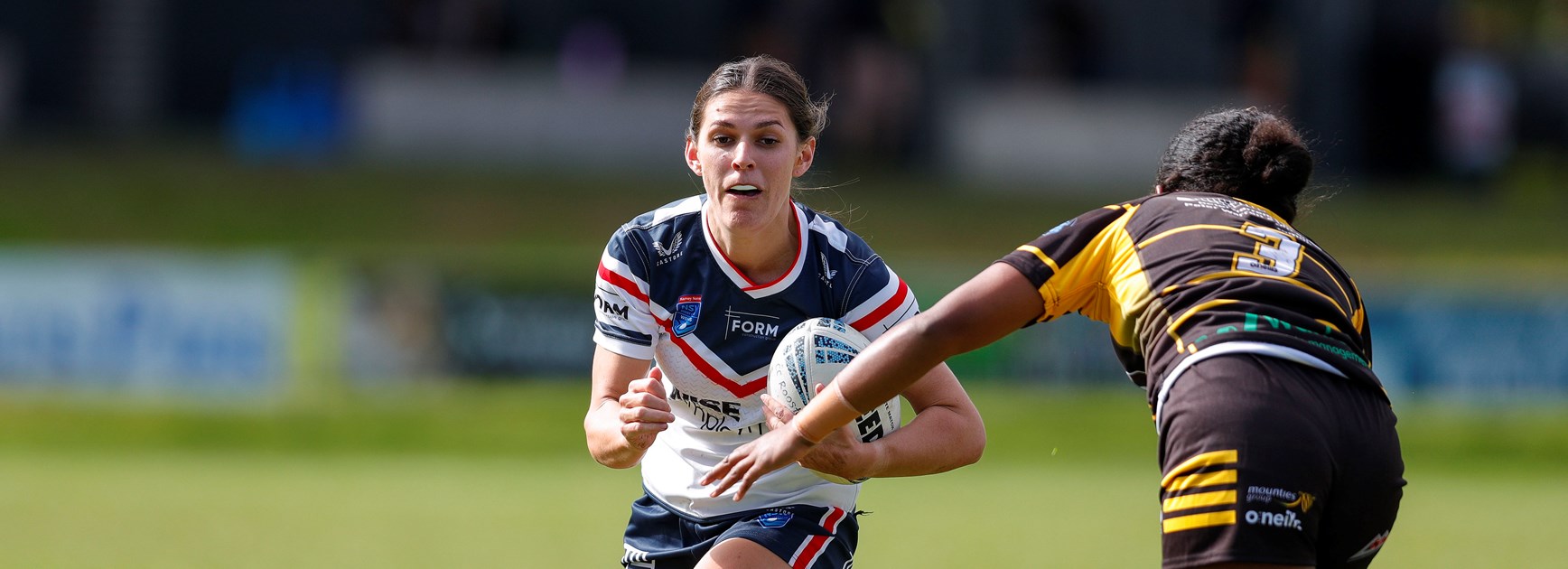 20 Stars for 2023 | Shannon Rose