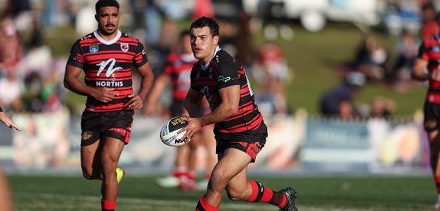 Bears Outclass Knights in Statement Win