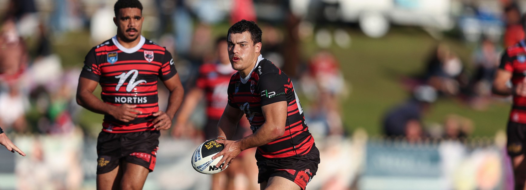 Bears Outclass Knights in Statement Win