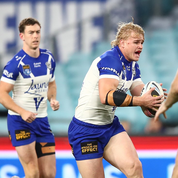 Dogs outpoint Dragons with dominant display