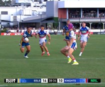 The Short Side | Eels, Bears, Knights Reviews