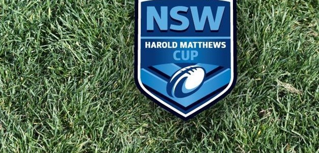 Harold Matthews Previews - Preliminary Finals 