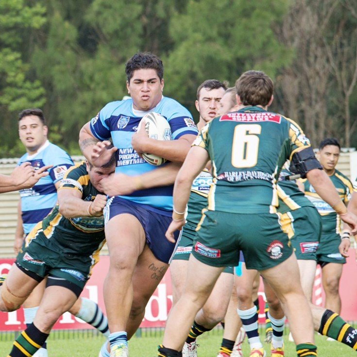 Ron Massey Cup and True Blue Chemicals Sydney Shield Results - Round Four