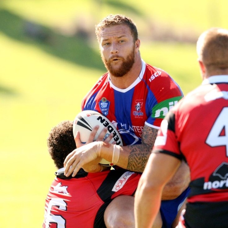 Knights V Bears - VB NSW Cup Rd 3