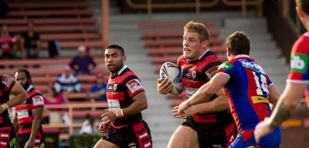 Bears V Knights - VB NSW Cup Rd 10