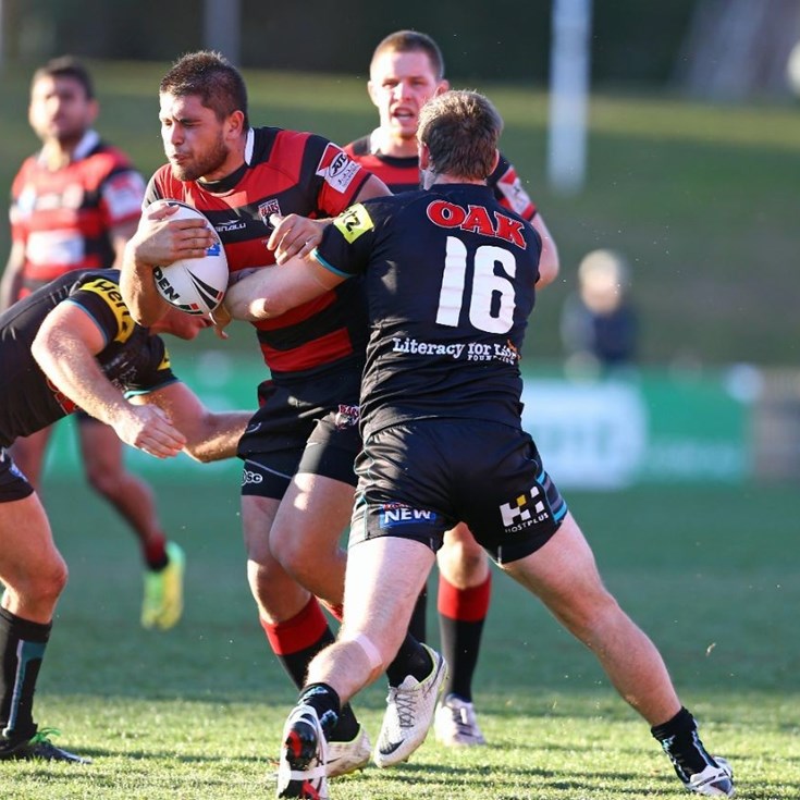 Panthers V Bears - VB NSW Cup Rd 22