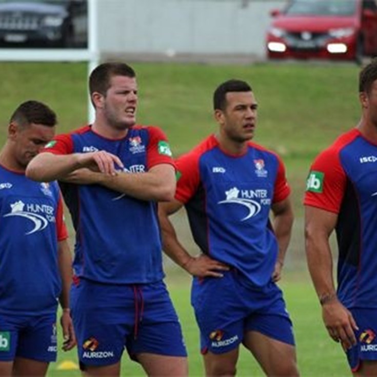 NEWCASTLE  KNIGHTS