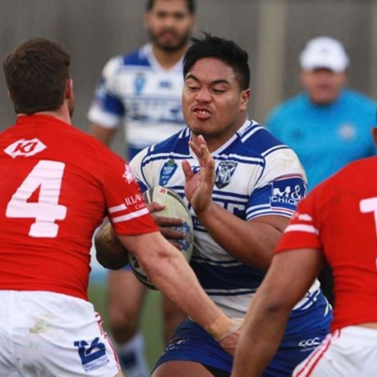 CANTERBURY-BANKSTOWN BULLDOGS