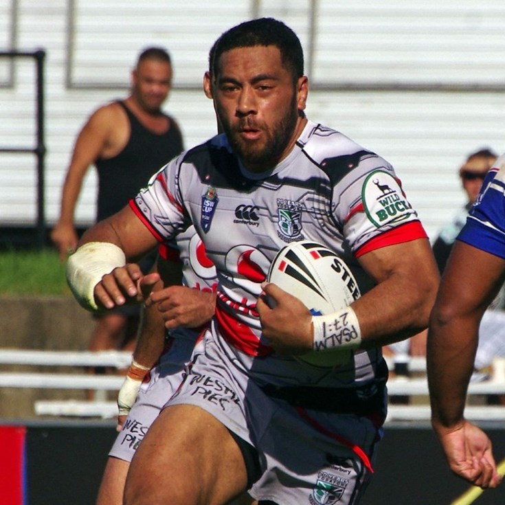 HIGHLIGHTS: Bulldogs v Bears (Rd 5)