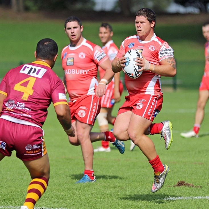 Sydney Shield Teams Rd 17