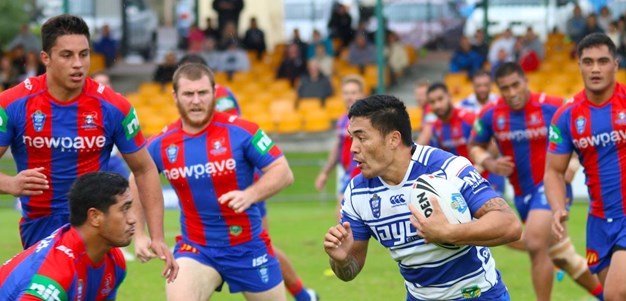 HIGHLIGHTS: Knights v Dogs (Rd 8)