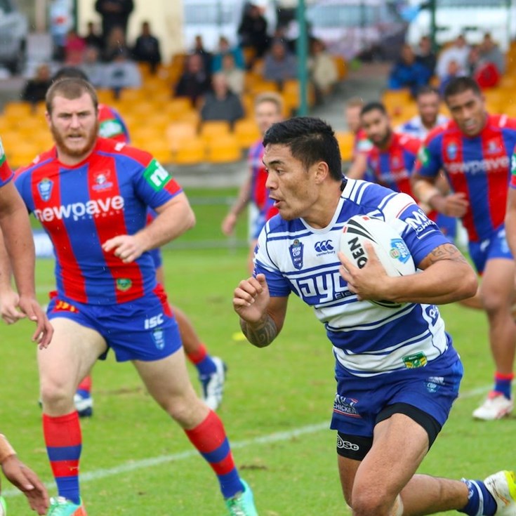 HIGHLIGHTS: Knights v Dogs (Rd 8)