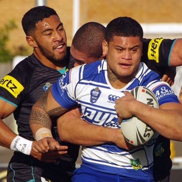 Highlights: Bulldogs v Panthers (Rd 19)