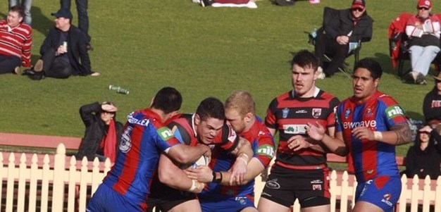 Highlights: Bears v Knights (Rd 23)