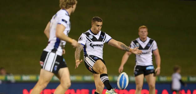 Feathers Fly As Magpies Scrape Home