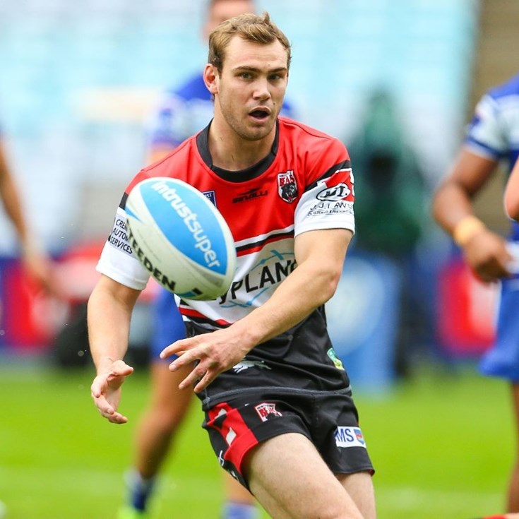 Fresh Faces Going Places | Eli Levido