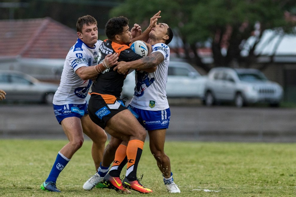 The Newtown Jets host the Wests Tigers in a trial match for the Intrust Super Premiership NSW. Image: Mario Facchini. 