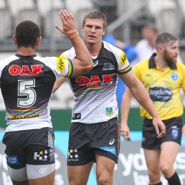 Panthers Pile Points On Tigers