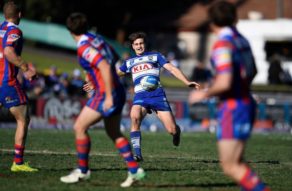 The Canterbury-Bankstown Bulldogs host the Newcastle Knights in Round 18 of the Intrust Super Premiership NSW. Image: NRL Photos.