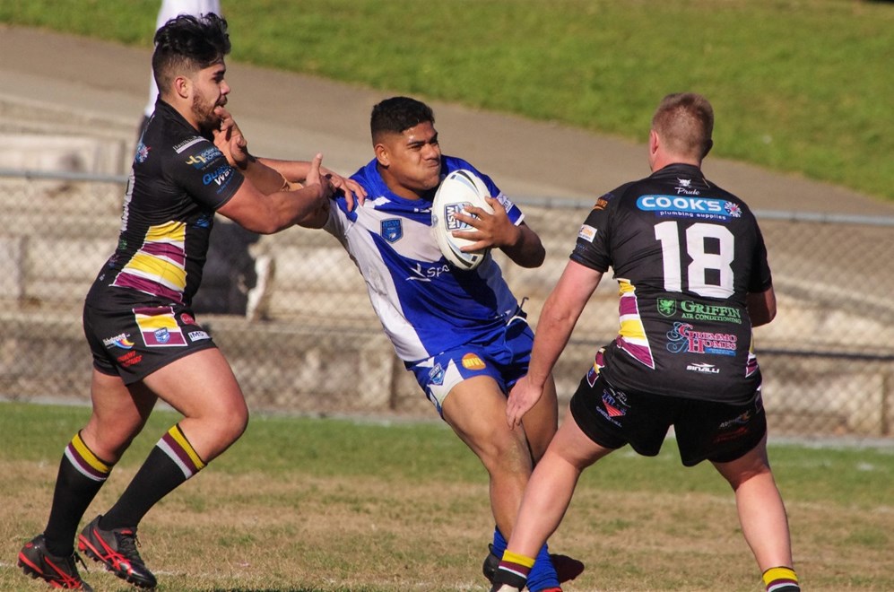 The Hills District Bulls host the Moorebank Rams in Round 18 of the Sydney Shield. Image: David Napper.