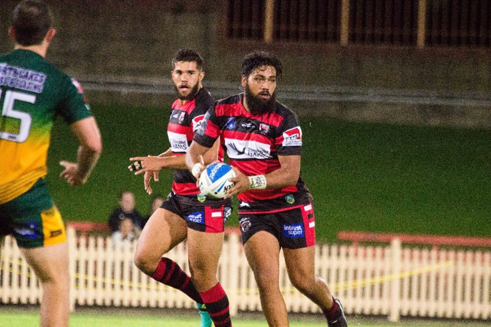 The North Sydney Bears host the Wyong Roos in Round 7 of the Intrust Super Premiership NSW. Image: Steve Little.