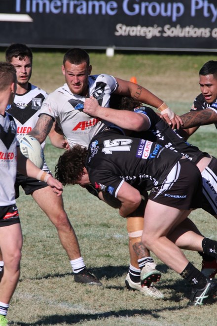 The Wentworthville Magpies host the Western Suburbs Magpies in Round 19 of the Sydney Shield. Image: Grant Guy.