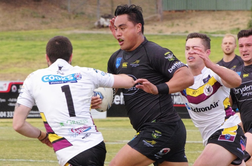 Mounties host the Hills District Bulls in Round 23 of the Sydney Shield. Image: David Napper.