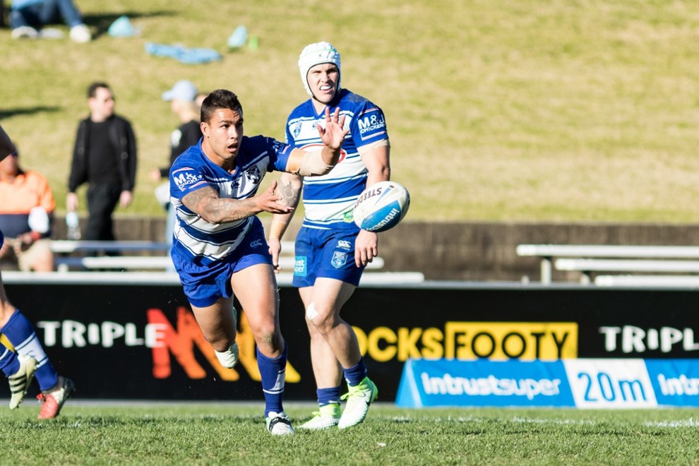 The Canterbury-Bankstown Bulldogs host the Newtown Jets in Round 22 of the Intrust Super Premiership NSW. Image: Mario Facchini.