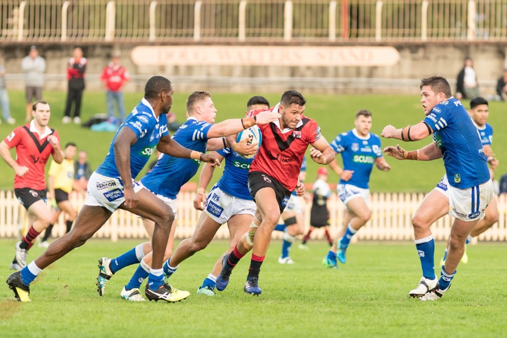 The North Sydney Bears host the Newtown Jets in Round 10 of the Intrust Super Premiership NSW. Image: Mario Facchini.