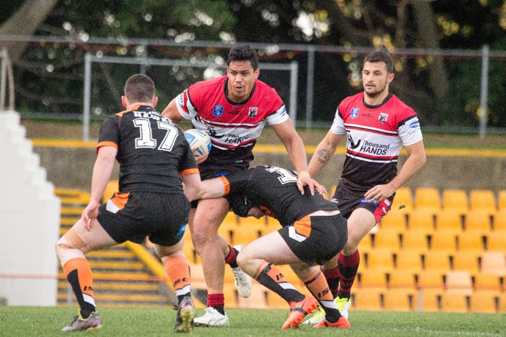 The Wests Tigers host the North Sydney Bears in Round 22 of the Intrust Super Premiership NSW. Image: Steve Little.