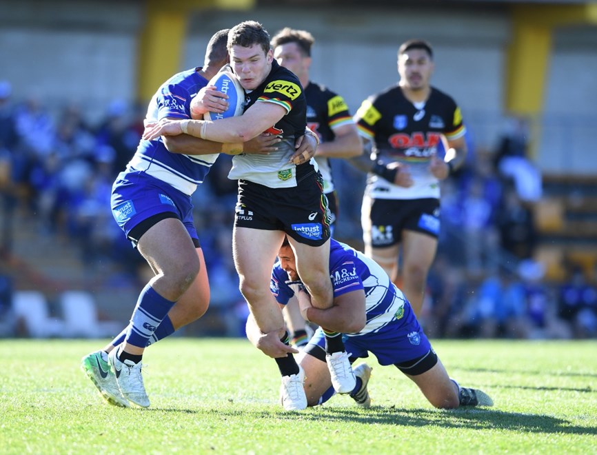 The Penrith Panthers take on the Canterbury-Bankstown Bulldogs in the third week of the Intrust Super Premiership NSW Finals Series. Image: NRL Photos.