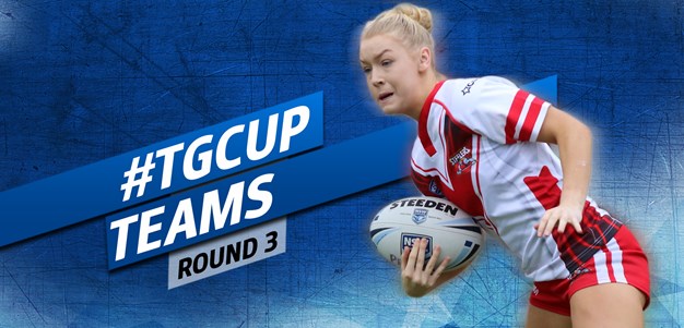 TEAMS | Harvey Norman Tarsha Gale Rd 3