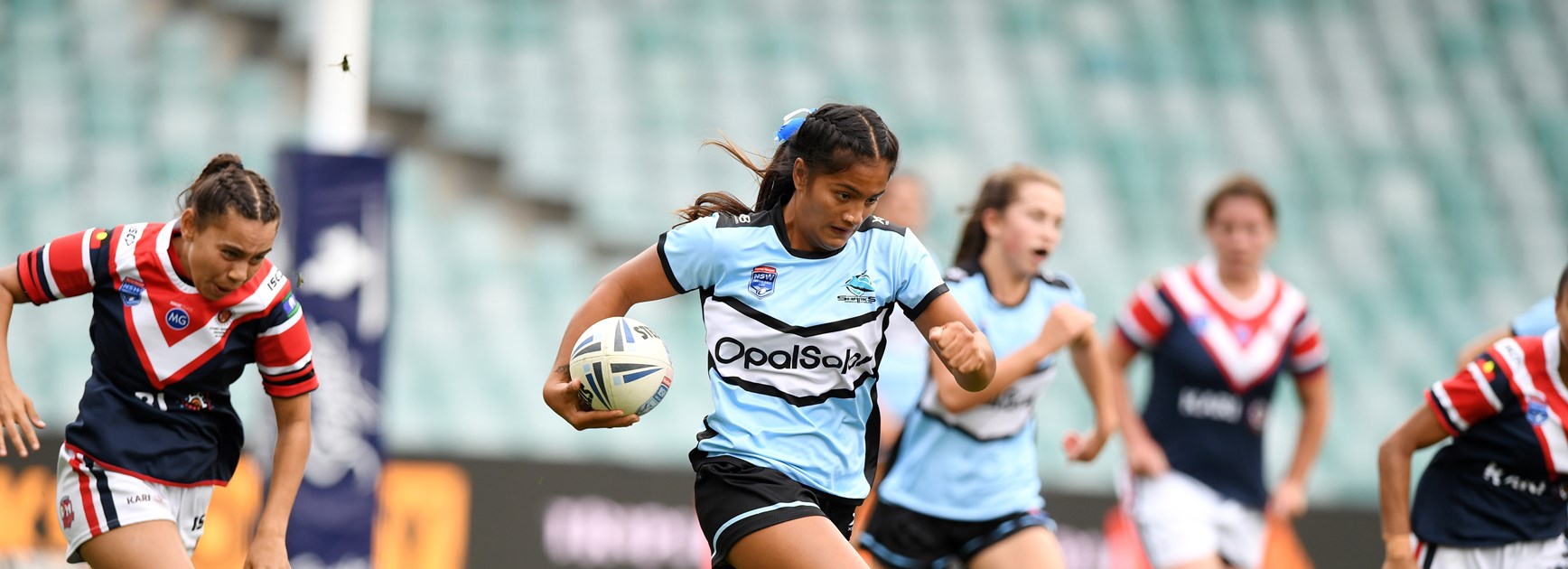 AROUND THE GROUNDS | NSWRL Competitions