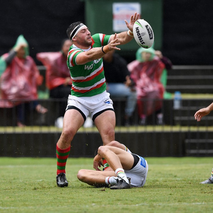 Team in Focus | South Sydney Rabbitohs