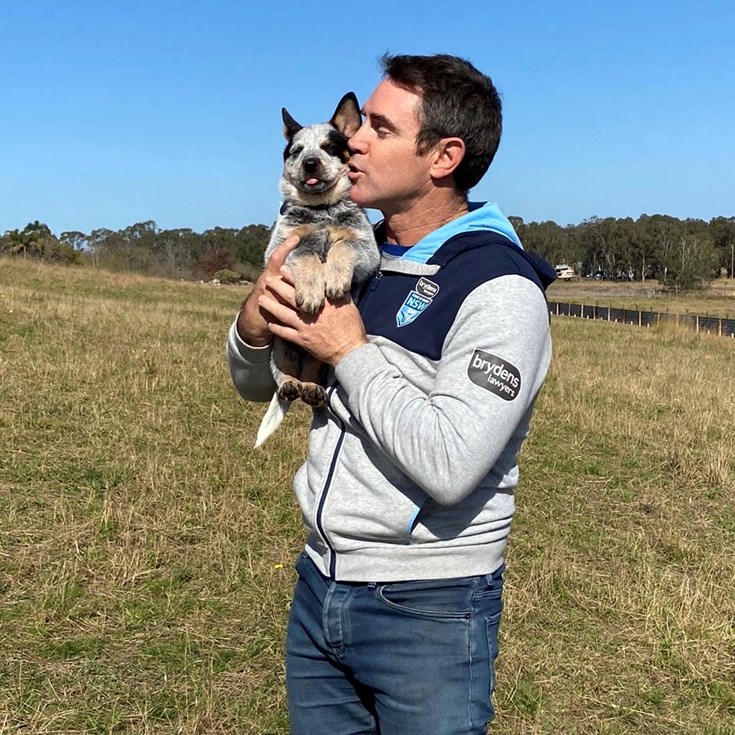 GALLERY | Bruce Healer the Brydens Lawyers NSW Blues mascot