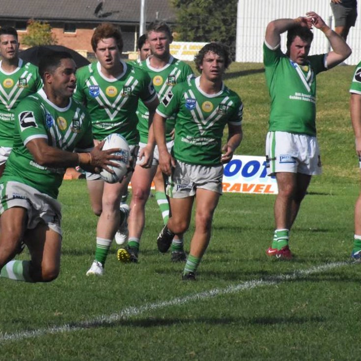 Greens gallop to first round win in Group 20