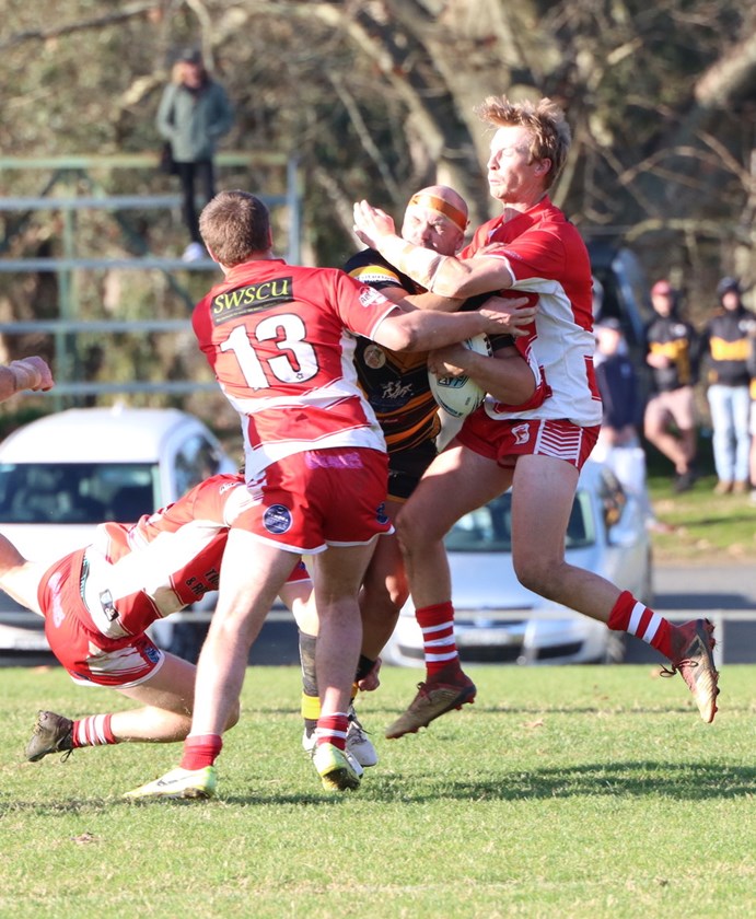 Temora muscle up in defence (photo courtesy of Gundagai Independent)
