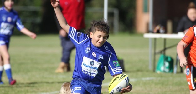 Campbelltown Stadium to host Minis Rugby League gala day
